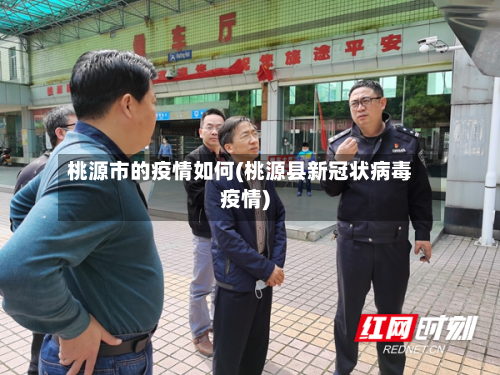 桃源市的疫情如何(桃源县新冠状病毒疫情)-第2张图片