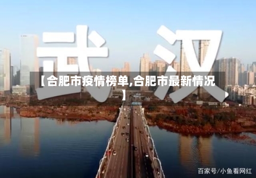 【合肥市疫情榜单,合肥市最新情况】-第2张图片