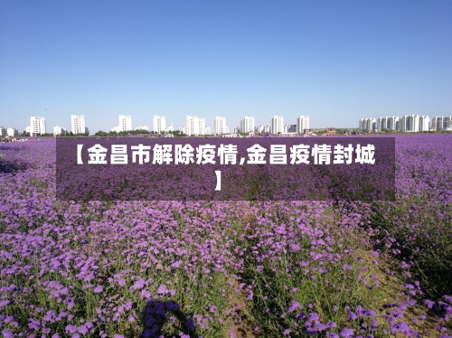 【金昌市解除疫情,金昌疫情封城】-第2张图片