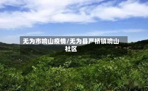 无为市响山疫情/无为县严桥镇响山社区-第3张图片