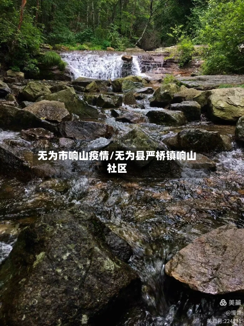 无为市响山疫情/无为县严桥镇响山社区-第2张图片