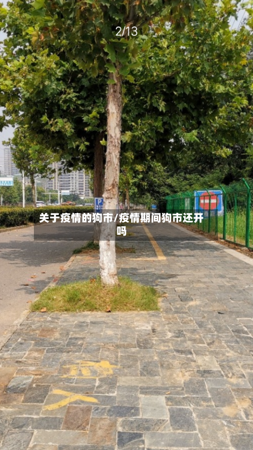 关于疫情的狗市/疫情期间狗市还开吗-第2张图片