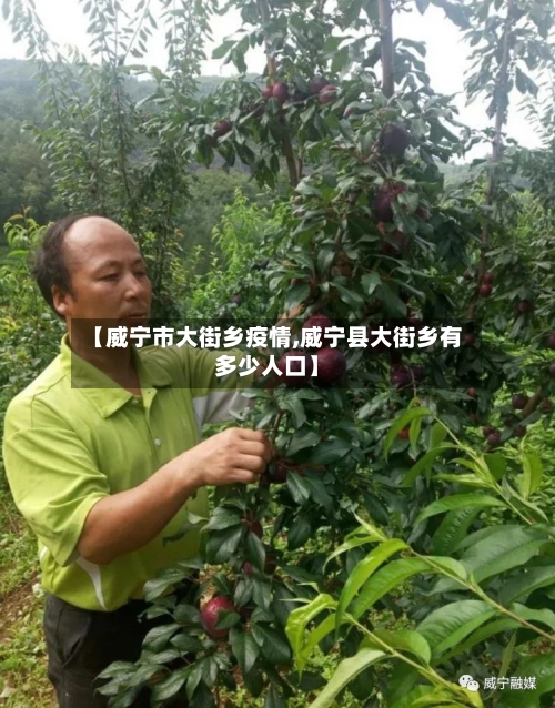 【威宁市大街乡疫情,威宁县大街乡有多少人口】-第3张图片