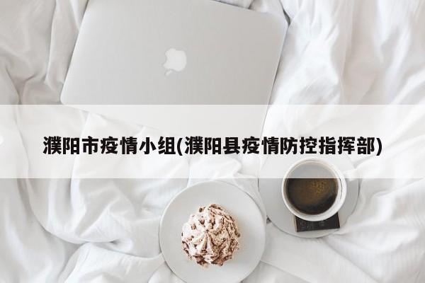 濮阳市疫情小组(濮阳县疫情防控指挥部)
